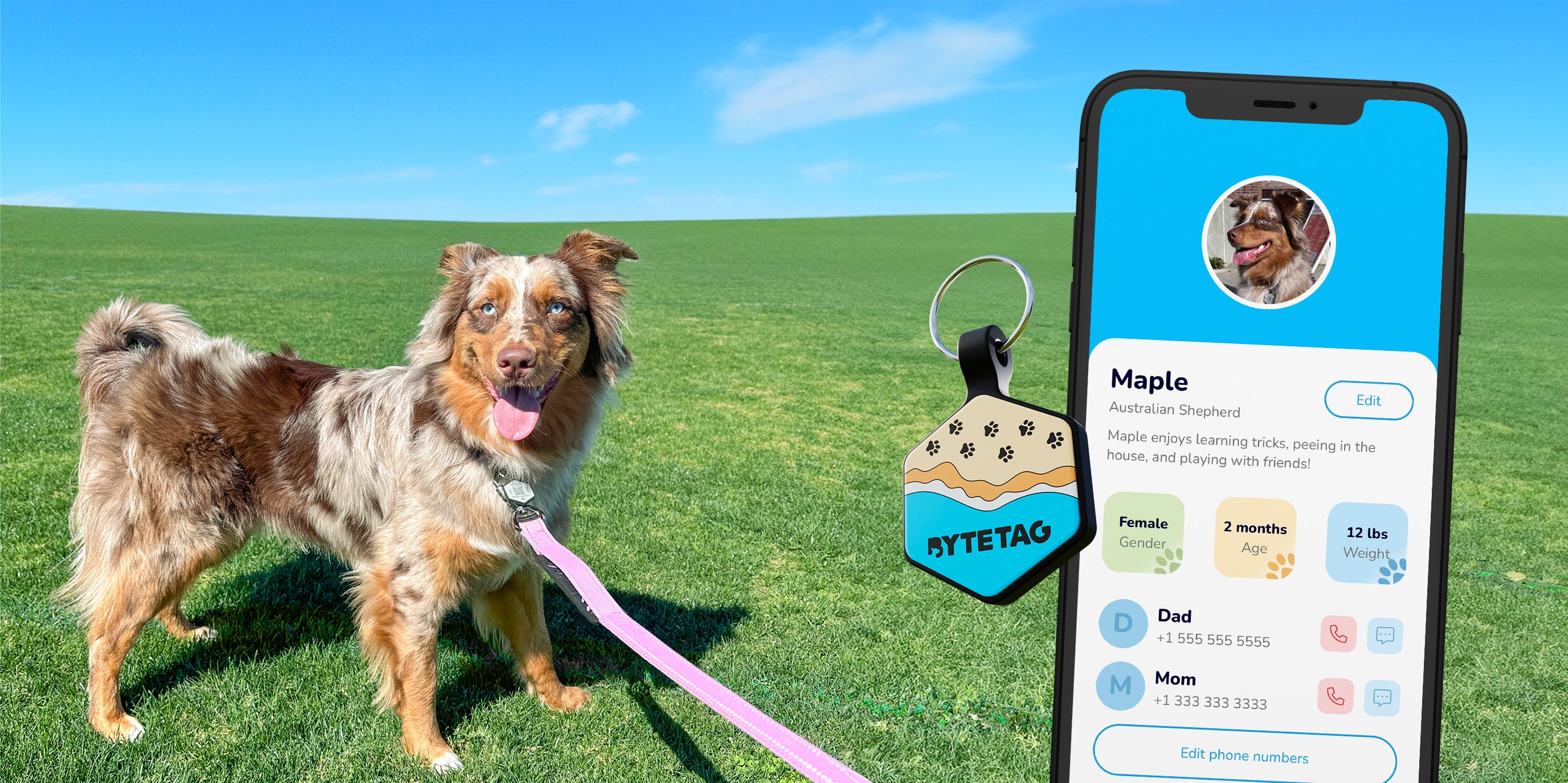 Australian shepherd wearing ByteTag with pet profile featured next to her.