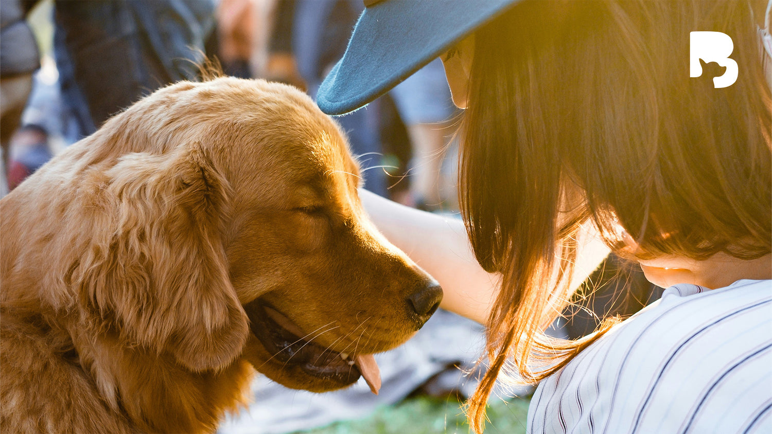 A golden retriever sharing a sweet moment with its owner.