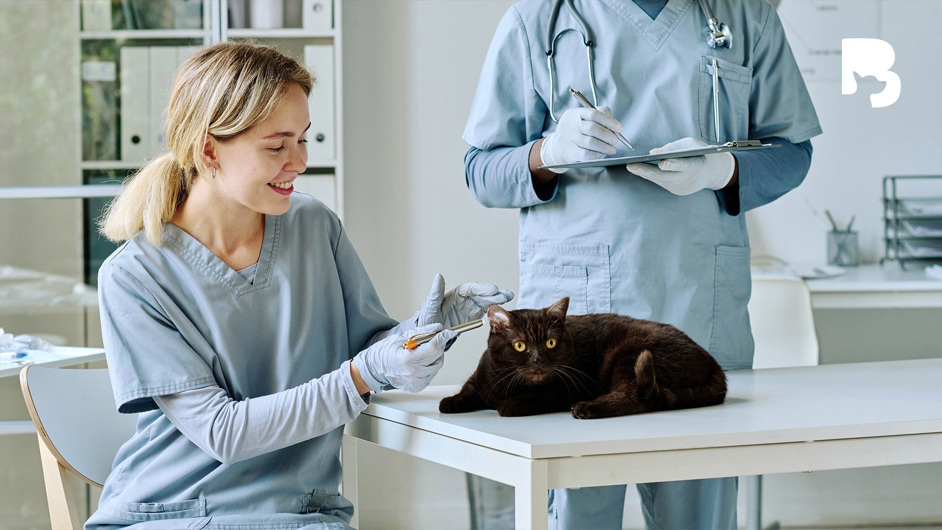 ByteBlog: How to Choose the Right Veterinarian for Your Pet