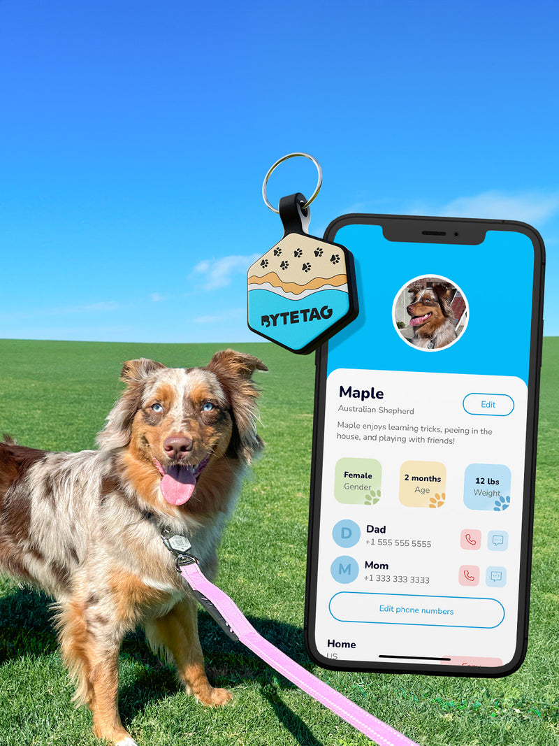 Byte Tag ByteTag - QR Code Dog Tag - QR Code Pet Tag